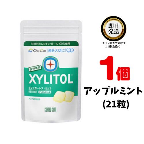 オーラルケア キシリトールガム 歯科専用 ラミチャック 35g (21粒) ×1 アップルミント | Oral Care おーらるけあ XYLITOL きしりとーるがむ キシリトール100% シュガーレス ノンシュガー ガム がむ 歯 袋 歯医者おすすめ 歯科専売品 Apple Mint あっぷるみんと 歯科専売