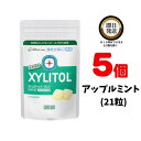 オーラルケア キシリトールガム 歯科専用 ラミチャック 35g (21粒) アップルミント ×5 Oral Care おーらるけあ XYLITOL きしりとーるがむ キシリトール100 シュガーレス ノンシュガー ガム がむ 歯 袋 歯医者おすすめ 歯科専売品 Apple Mint あっぷるみんと 歯科専売