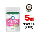 オーラルケア キシリトールガム 歯科専用 ラミチャック 35g (21粒) ×5 マスカット | Oral Care おーらるけあ XYLITOL きしりとーるがむ キシリトール100% シュガーレス ノンシュガー ガム がむ 歯 袋 歯医者おすすめ 歯科専売品 ますかっと 袋 歯科専売 袋 虫歯予防