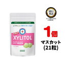 オーラルケア キシリトールガム 歯科専用 ラミチャック 35g (21粒) ×1 マスカット Oral Care おーらるけあ XYLITOL きしりとーるがむ キシリトール100 シュガーレス ノンシュガー ガム がむ 歯 袋 歯医者おすすめ 歯科専売品 ますかっと 袋 歯科専売 袋 虫歯予防