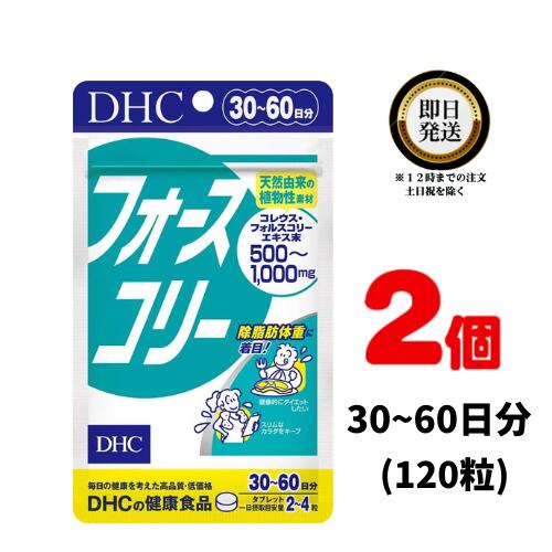 DHC フォースコリー 30~60日分 120粒 2袋 サプ