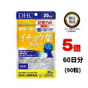 DHC イチョウ葉 脳内α(アルファ)  30日分（90粒）×5 | ディーエイチシー サプリメント サプリ 健康食品 健康サプリ カプセル さぷり イチョウ葉 集中力 集中 うっかり 物忘れ 勉強 仕事 レシチン 試験 受験 記憶力 記憶 認知 言葉 思考 思い出す