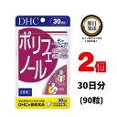 DHC ポリフェノール 30日分 (90粒) ×2 | ディーエイチシー サプリ 健康食品 健康サプリ カプセル さぷり ぽりふぇのーる 肌 抗酸化作用 抗酸化 カテキン アントシアニン 赤ワイン りんご 月見草種子 ダイエット ヘルスケア 健康 美容 喫煙 加齢 仕事 栄養食品