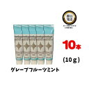 メルサージュ ヒスケア A グレープフルーツミント 10g ×10本 | 松風 まつかぜ しょうふう 知覚過敏予防 ハミガキ フッ素 キシリトール ..