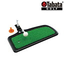 タバタ オオガタヘッドパンチャーSTD トレーニング用具 gv0268 Tabata 【20】 その1