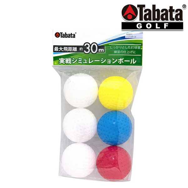 タバタ ソフトボール gv0311 Tabata 【20】