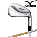 ミズノ メンズ ミズノプロ 245 アイアン 6本組(5-9、PW) ダイナミックゴールド 95 スチールシャフト ミズノプロ 245 アイアンセット MIZU...
