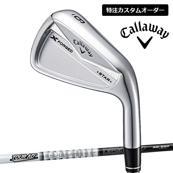 ڥ४24SS  FORGED 24 å ե   6(5-9PW) ...