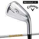 yJX^I[_[z24SSLEFCSt Y FORGED 24 GbNX tH[Wh ACA 6{g(5-9APW) Dynamic Gold 95 X`[Vtg Callaway ACA Zbgy24z