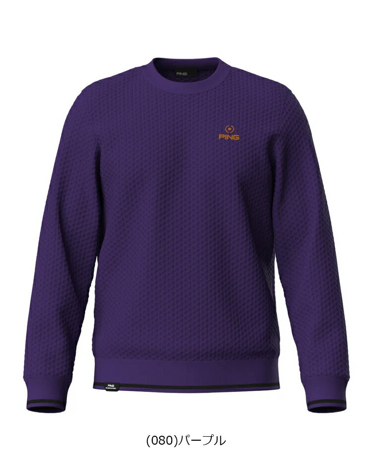 ピンアパレル 2025年秋冬モデル メンズ ハチノス編み クルーネック ニット 621-5270901【25】