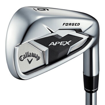 キャロウェイ APEX アイアン 単品(AW,SW) クラブ (Speeder EVOLUTION カーボンシャフト) Callaway【19】 apex19ir3