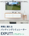 ★本体をテレビに繋げば設置完了！★エクスパット ゴルフパッティング シミュレーター EXPUTT RG (最新モデル)エックスパット リアルグリーン パター練習器 パターゴルフシュミレーター パット数30切りを目指す人の練習に最適【21】 2