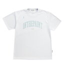 【1点限りネコポス対応】IN THE PAINT インザペイント ITP23402 Tシャツ バスケ 半袖 メンズ レディース