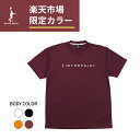 \楽天限定/【ネコポス対応】IN THE PAINT インザペイント ITP22301R Tシャツ バスケ 半袖 メンズ レディース
