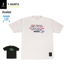 【11/2(日)〜11/5(水)お得なクーポン配布中】【ネコポス対応】IN THE PAINT インザペイント ITP25345 Tシャツ メンズ レディース ...