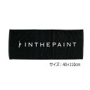 【1点限りネコポス対応】IN THE PAINT インザペイント ITP23346 BIGタオル バスケ