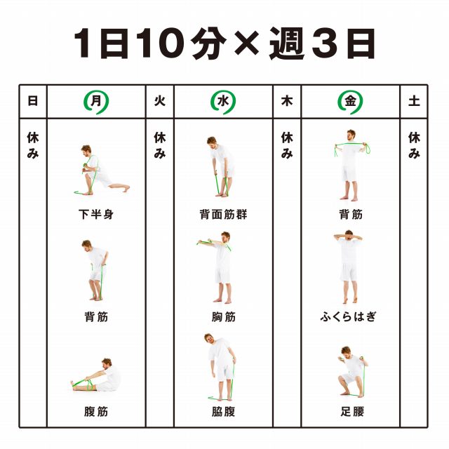 エルガム erugam 筋トレチューブ 健康のメニュー グリーン ハード 54192 ゴムチューブ トレーニング 腹筋 背筋 下半身 わき腹 足腰 ふくらはぎ リハビリ 要介護予防 フレイル サクライ貿易 erugam 自宅トレーニング 3