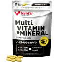 P^C }`r^~&~l 240 K4420 N̗͌   oCIy R _ r^~D Ɖu J  yf _o  z ̒ێ RfBV kentai MultiVitamin MultiMineral Zinc kentai