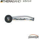 スーパーSALE #DA-90 ドアアンカー トレーニングラバーチューブ ラバーバンド リハビリ インナーマッスル 自宅トレーニング ホームトレーニング 筋トレ...
