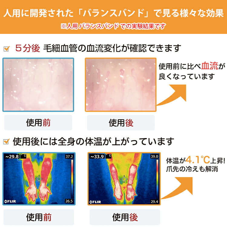 TUNERSジョイフルアニマルバランスバンド1本入りS-XLサイズが選べますブラックブルーピンクブラックトルマリン水晶鉱石ワンちゃん犬イヌいぬ猫ネコねこ重心骨格補正姿勢チューナーズJOYFUL(株)Artsアーツ