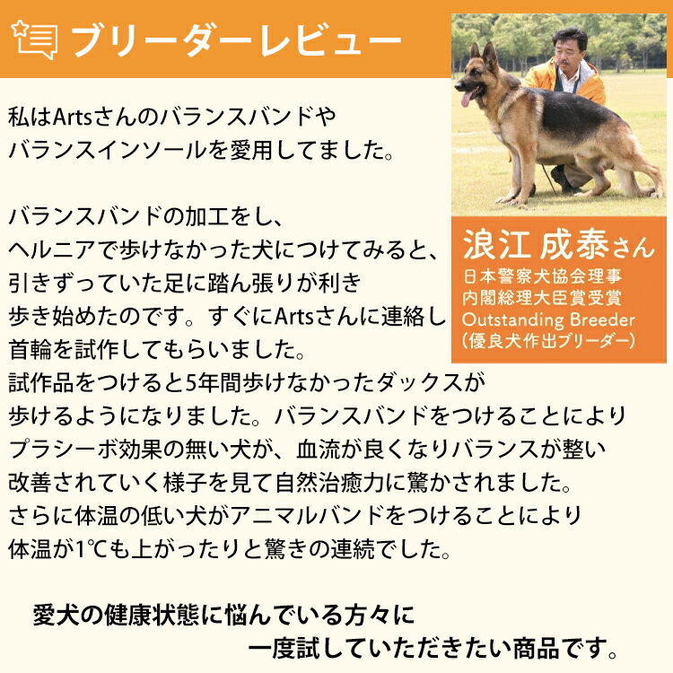 TUNERSジョイフルアニマルバランスバンド1本入りS-XLサイズが選べますブラックブルーピンクブラックトルマリン水晶鉱石ワンちゃん犬イヌいぬ猫ネコねこ重心骨格補正姿勢チューナーズJOYFUL(株)Artsアーツ