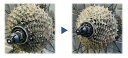 powerpit:10008454のサンプル画像3