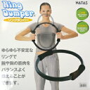 HATAS リングダンパー ダイエット シェイアップ 引き締め ストレッチ 運動 リング エクササイズ フィットネス 器具 グッズ 内股 内もも 胸 腕 お腹 背中 ウエスト 美容 健康 トレーニング メンズ レディース ヨガ 筋トレ 秦運動具工業 自宅トレーニング