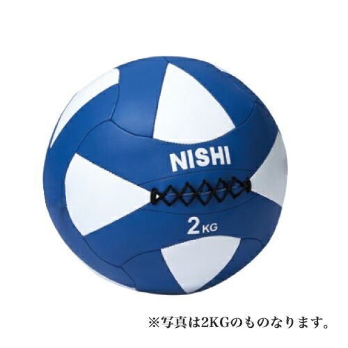 NISHI jVEX|[cK\tgfBV{[