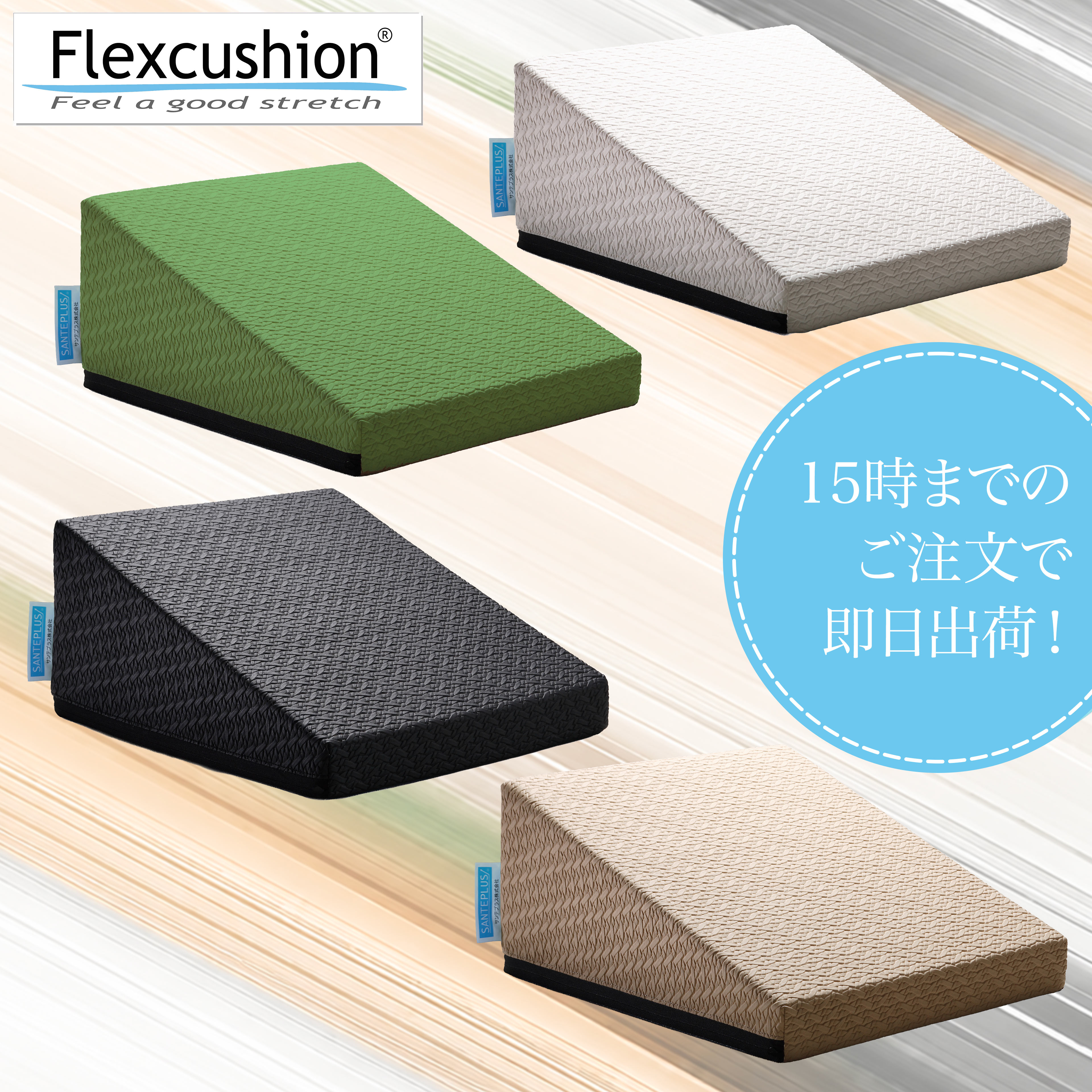 Rakuten - 【15時迄の注文で即日出荷／日時指定必須】SANTEPLUS　サンテプラス フレックスクッション ブラック