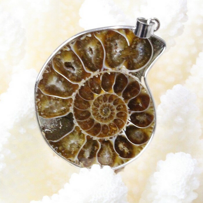 アンモナイト ペンダント｜Ammonite 化石 アンモン貝 マリエラ 菊石 fossil アンモナイト ネックレス Pendant 首輪 ペンダント Necklace｜メンズ Men's レディース Ladies 限定 天然石 アンモナイト【ポイント割引商品】