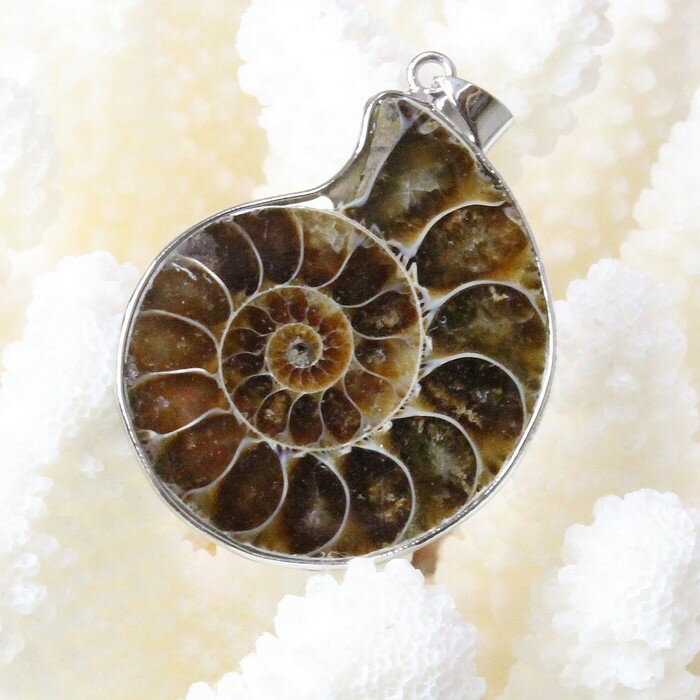 アンモナイト ペンダント｜Ammonite 化石 Ammonoidea アンモン貝 マリエラ 菊石 fossil アンモナイト ネックレス Pendant 首輪 ペンダント Necklace｜メンズ Men's レディース 天然石 限定 一点物 アンモナイト【ポイント割引商品】