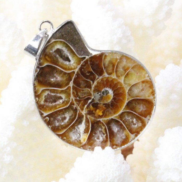 アンモナイト ペンダント｜化石 Ammonoidea アンモン貝 マリエラ 菊石 fossil アンモナイト ネックレス Pendant Necklace ペンダント チャーム｜メンズ Men's レディース Ladies 限定 天然石 アンモナイト【ポイント割引商品】