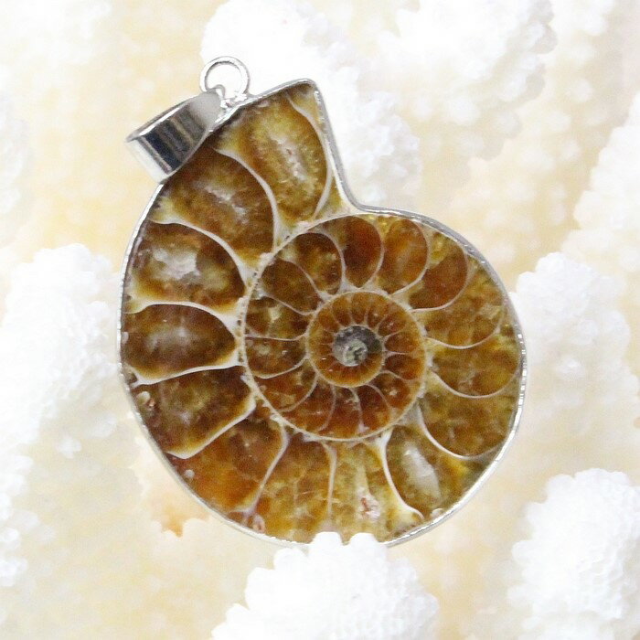 アンモナイト ペンダント｜Ammonite 化石 アンモン貝 マリエラ 菊石 fossil アンモナイト ネックレス ペンダント チャーム Pendant Necklace 首輪｜メンズ レディース パワーストーン 天然石 海外直輸入価格 アンモナイト【ポイント割引商品】