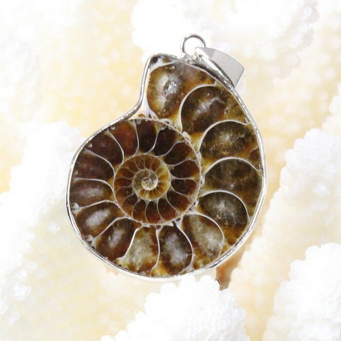 アンモナイト ペンダント｜Ammonite 化石 Ammonoidea アンモン貝 マリエラ 菊石 fossil アンモナイト ネックレス チャーム Pendant ペンダント Necklace 首輪｜メンズ レディース 一点物 パワーストーン アンモナイト【ポイント割引商品】