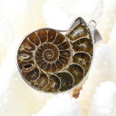 アンモナイト ペンダント|化石 Ammonoidea アンモン貝 マリエラ 菊石 fossil アンモナイト ネックレス Pendant Necklace ペン...