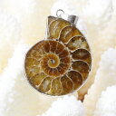 アンモナイト ペンダント|Ammonite 化石 アンモン貝 マリエラ 菊石 fossil アンモナイト ネックレス ペンダント チャーム Pendant Ne...