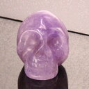 AWXg hNbAmethyst  AVXg AWXgyꂱ Scull Skeleton  Gemstone  u XPg  XJ W hNzY Men's fB[X VR  _ AWXgy|Cgiz