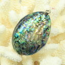アバロンシェル ペンダント|パウアシェル パウア貝 アバロン貝 あわび アバロンシェル ネックレス Necklace Pendant ネックレス ペンダント|メ...