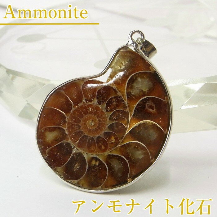 アンモナイト 化石 ペンダント｜レインボー Ammonite アンモライト fossil アンモナイト ネックレス Pendant ペンダ…