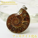 アンモナイト 化石 ペンダント｜レインボー Ammonite アンモライト fossil アンモナイト ネックレス Pendant ペンダント Necklace ペン..