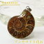 ʥ  ڥȡå쥤ܡ Ammonite 饤 fossil ʥ ͥå쥹 Pendant ڥ Necklace ڥȥȥå    fossil  ʪ ɸܡÿ͵  ̵  ŷ ʥ 