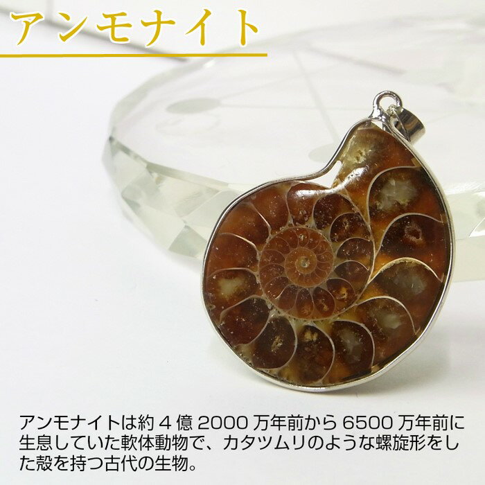 アンモナイト 化石 ペンダント｜レインボー Ammonite アンモライト fossil アンモナイト ネックレス Pendant ペンダント Necklace ペンダントトップ 原石 古代 化石 fossil 開運 古生物 標本｜人気 おすすめ 送料無料 限定 天然石 アンモナイト 化石