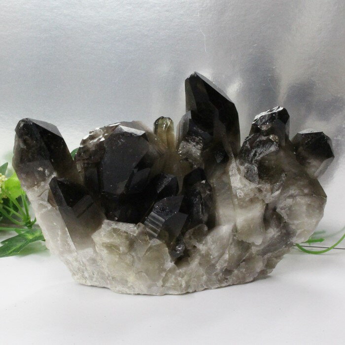 モリオン クラスター 黒水晶 Morion モリオン 原石 魔除け インテリア 置物 Cluster 邪気払い 浄化 石 クラスター モリオンクラスター メンズ...