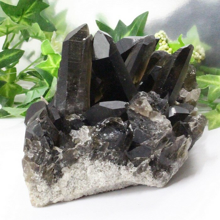 【限定 一点物】モリオン クラスター モリオン Morion 黒水晶 原石 邪気払い 浄化 石 クラスター Cluster 魔除け インテリア 置物 モリオンク...