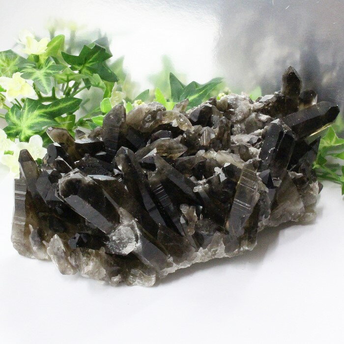 モリオン クラスター 黒水晶 Morion モリオン 原石 クラスター Cluster 魔除け インテリア 邪気払い 浄化 石 置物 モリオンクラスター パワー...