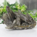 【厳選品質 一点物】モリオン クラスター 黒水晶 Morion モリオン 原石 Cluster 魔除け インテリア 置物 邪気払い 浄化 石 クラスター モリオ...