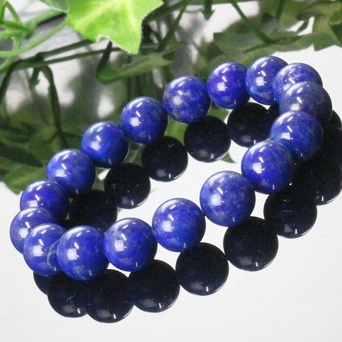 ڸ ʪ ե˥ ʼ AAAAA졼ɡۥԥ饺 ֥쥹å Ķ ԥ饺 ֥쥹å  Ƕ  å ˼ ...