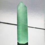 ڸ ʪۥե饤 ݥ Fluorite ե饤   ʪ ե饤