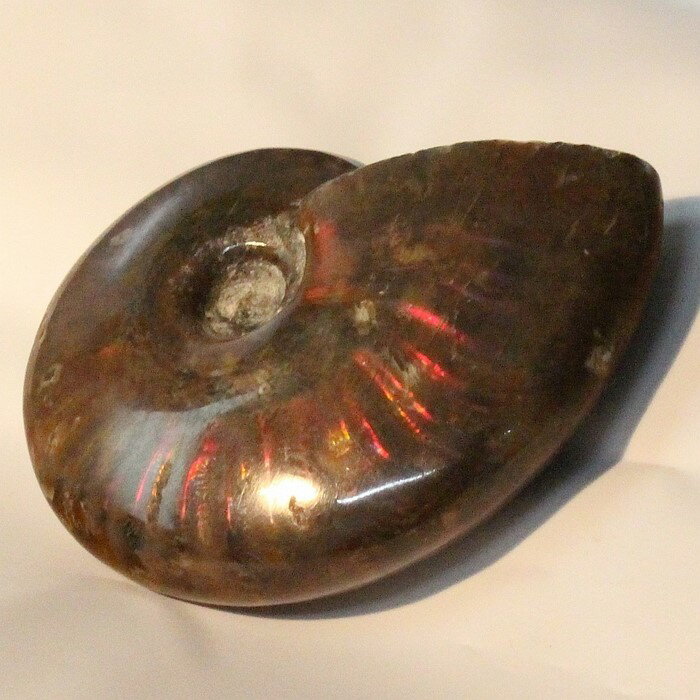 【厳選品質マダガスカル産】アンモナイト 化石 虹 Ammonite アンモライト レインボー アンモナイト 宝石 原石 置物 鉱石 生きた化石 fossil 石...