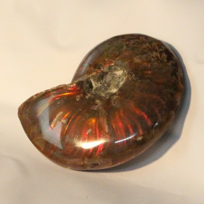 【マダガスカル産一級品】アンモナイト 化石 虹 レインボー Ammonite アンモライト アンモナイト 宝石 原石 置物 鉱石 生きた化石 fossil 石 ...